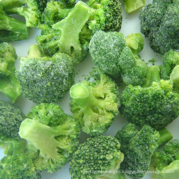 IQF Frozen Vegetable Food Broccolis